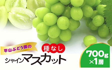 平山ぶどう園のシャインマスカット(種なし)700g × 1房 / KTRBV001 / シャインマスカット マスカット ますかっと 種なし ぶどう ブドウ 葡萄 令和7年発送