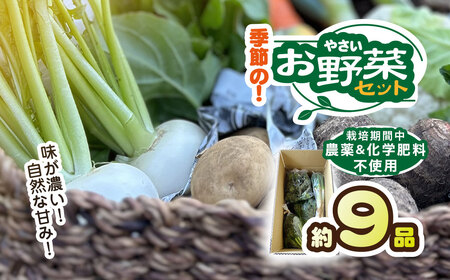 栽培期間中 農薬不使用 季節のお野菜セット KT