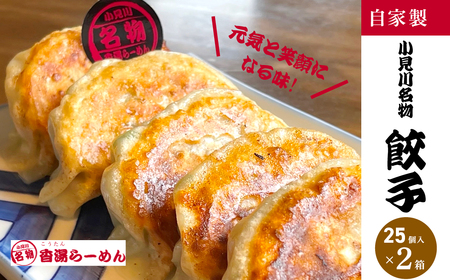 【自家製】小見川名物餃子　25個入×2箱  OGS002