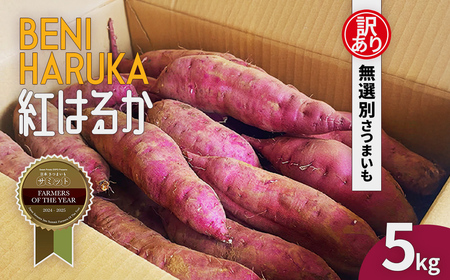 ��s��t�y�󂠂�z���܈� �g�͂邩 ��5kg ��t������s�Y�y2025�N12����{��菇�������z KTRAZ005