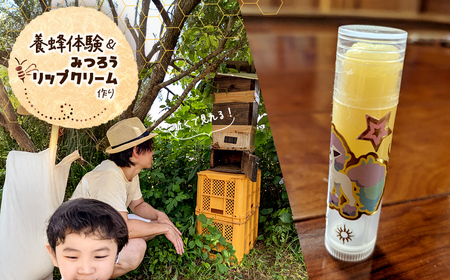 養蜂体験&みつろうリップクリーム作り ふるさと納税 養蜂 みつろう ミツバチ 蜜蜂 無添加 体験 リップクリーム 千葉県 香取市 送料無料