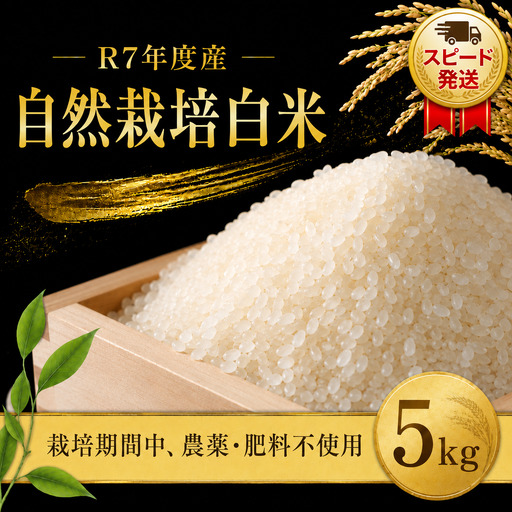 自然米 5kg 白米 自然栽培米 令和7年産 R7年産 まこと屋 千葉県 香取市 MKT007_R7