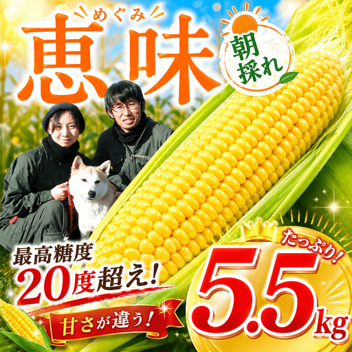 【先行予約】めぐみ 朝採れ とうもろこし 5.5kg [SBF002] とうもろこし