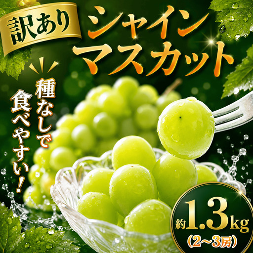 シャインマスカット [種なしぶどう] 1.3kg 2~3房 先行予約 訳あり 種なしぶどう