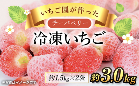 [希少品種]冷凍いちご(チーバベリー)約3kg SMAN011 / 冷凍いちご 冷凍苺 冷凍イチゴ フルーツ くだもの 果物 いちご イチゴ 苺 チーバベリー 希少品種 冷凍 ジャム スムージー デザート お菓子作り 千葉県 山武市