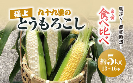 [2025年6月より順次発送!]朝採り!農家直送! 九十九里の極上とうもろこし 白色 黄色 食べ比べ 約5kg(13〜16本)/とうもろこし トウモロコシ コーン ゴールドラッシュ ワクワクコーン 白い 味甘ちゃんホワイト 濃厚な甘み 新鮮 農家直送 千葉県 千葉県山武市