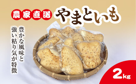 農家直送! 直売所でも大人気! 豊かな風味と強い粘り気が特徴! 大和芋(やまといも)2kg 真空パック包装 ふるさと納税 やまといも ヤマトイモ 大和芋 芋 山芋 長芋 きめ 粘り とろろ汁 麦とろ やまかけ 農家直送 千葉県 山武市