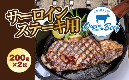 脂と赤身のバランスが最高! ブランド牛 九十九里オーシャンスタービーフ サーロインステーキ用 200g×2枚 / ふるさと納税 肉 牛肉 ブランド牛 オーシャンスタービーフ サーロイン ステーキ 200g 2枚 九十九里 千葉県 山武市