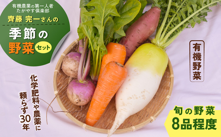 有機農業の第一人者 たがやす倶楽部 齊藤 完一さんの「季節の野菜セット」 ふるさと納税 野菜 やさい 季節 詰合せ セット たがやす農法 安心 美味しい 甘味 千葉県 山武市