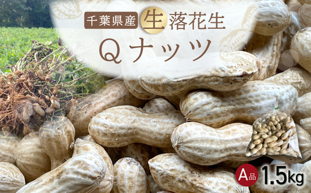 ystE9{菇IzQibc Ԑ 1.5kg  ^ӂ邳Ɣ[ Ԑ  Ԑ Qibc QȂ Ai Vi  { Gߌ  ΂ Â   