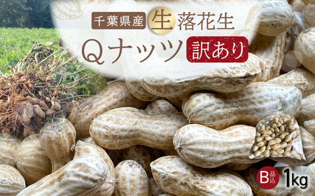 ystE9{菇Izy󂠂zQibc Ԑ 1kg  ^ӂ邳Ɣ[ Ԑ  Ԑ Qibc QȂ Vi   󂠂 A ƒp p { Gߌ 