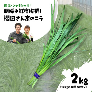 ys\zy12甭zEVLVL! ̂NxQ! NcƂ̃j 2kg(100g×10×2Zbg) SMCS002