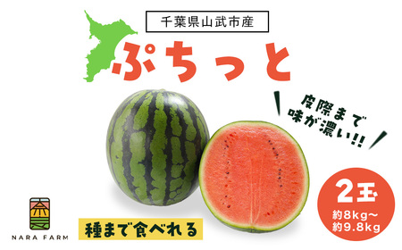 ぷちっと2玉入り