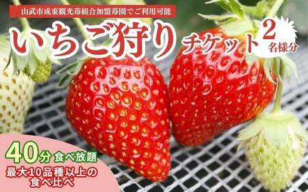 [12月上旬から発送]いちご狩りチケット(2名様分) いちご イチゴ 苺 イチゴ狩り いちご狩り体験 チケット 利用券 千葉県 山武市