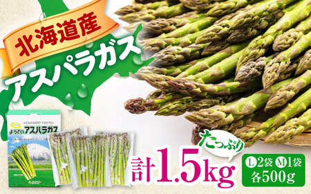 【2025年6月以降順次発送】 グリーンアスパラガス 1.5kg　（Ｌサイズ500g×２袋・Ｍサイズ500g）《喜茂別町》【Aコープようてい】 アスパラ 野菜 北海道 春野菜 季節の野菜 先行予約 [AJAK003] 16000 16000円