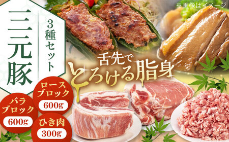 三元豚 ロース・バラブロック各600g・ひき肉300g [喜茂別町][平田牧場] 肉 豚肉 ブロック ステーキ ステーキ用 ロース バラ とんかつ ミンチ 豚ミンチ 角煮 冷凍配送 北海道 [AJAP009] 18000 18000円