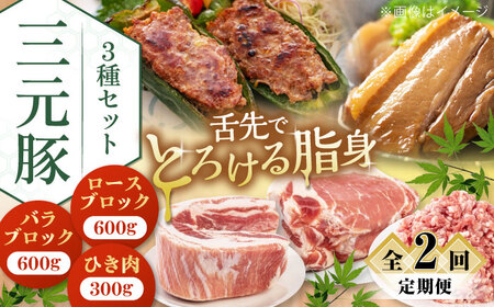 [全2回定期便] 三元豚 ロース・バラブロック各600g・ひき肉300g [喜茂別町][平田牧場] 肉 豚肉 ブロック ステーキ ステーキ用 ロース バラ とんかつ ミンチ 豚ミンチ 北海道 [AJAP046] 36000 36000円 北海道 肉 豚肉 用 