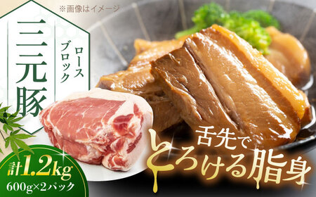 三元豚 ロースブロック1.2kg(600g×2パック)[喜茂別町][平田牧場] 肉 豚肉 ロース ブロック ローストポーク 煮豚 酢豚 煮物 冷凍配送 北海道 [AJAP071] 18000 18000円