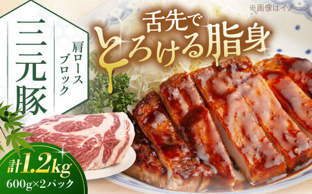 三元豚 肩ロースブロック1.2kg(600g×2パック)[喜茂別町][平田牧場] 肉 豚肉 ロース ブロック ローストポーク 煮豚 酢豚 煮物 冷凍配送 北海道 [AJAP075] 18000 18000円