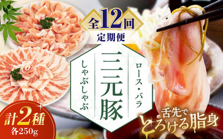 [全12回定期便]三元豚 しゃぶしゃぶセット 計500g(ロース・バラ) だし・昆布ナシ [喜茂別町][平田牧場] 肉 豚肉 ロース バラ 肉 バラ肉 しゃぶしゃぶ 鍋 お鍋 冷凍配送 北海道 [AJAP081] 108000 108000円