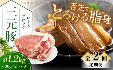 [全2回定期便]三元豚 ロースブロック1.2kg(600g×2パック)[喜茂別町][平田牧場] 肉 豚肉 ロース ブロック ローストポーク 煮豚 酢豚 煮物 冷凍配送 北海道 [AJAP098] 36000 36000円 北海道 肉 豚肉 ローストポーク 煮豚 酢豚 煮物 冷凍配送 