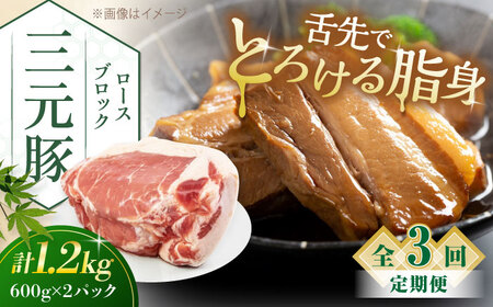 [全3回定期便]三元豚 ロースブロック1.2kg(600g×2パック)[喜茂別町][平田牧場] 肉 豚肉 ロース ブロック ローストポーク 煮豚 酢豚 煮物 冷凍配送 北海道 [AJAP099] 54000 54000円