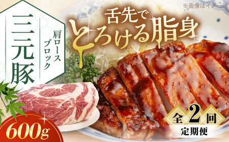 [全2回定期便]三元豚 肩ロースブロック600g[喜茂別町][平田牧場] ブロック肉 ブロック肉 ブロック肉 ブロック肉 ブロック肉 ブロック肉 [AJAP110] 20000 20000円 2万円