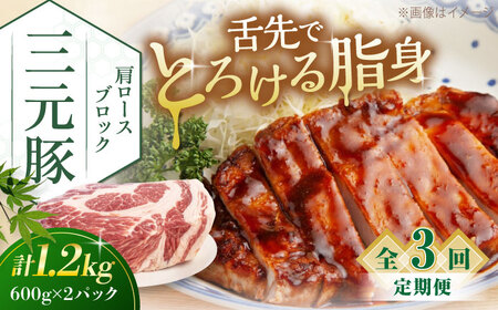 [全3回定期便]三元豚 肩ロースブロック1.2kg(600g×2パック)[喜茂別町][平田牧場] 肉 豚肉 ロース ブロック ローストポーク 煮豚 酢豚 煮物 冷凍配送 北海道 [AJAP115] 52000 52000円