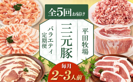[全5回定期便] 三元豚 バラエティ定期便(2~3人前)[喜茂別町][平田牧場] 肉 豚肉 ロース バラ肉 ステーキ セット 定期便[AJAP126]