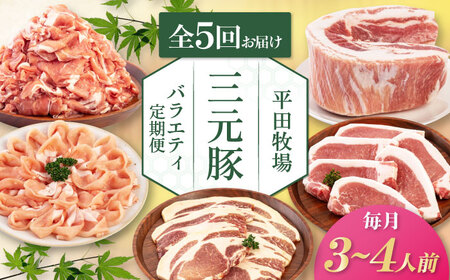 [全5回定期便]三元豚 バラエティ定期便(3~4人前)[喜茂別町][平田牧場] 肉 豚肉 ロース バラ肉 ステーキ セット 定期便[AJAP127]