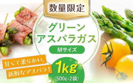 【先行予約】朝どりアスパラ Mサイズ1kg 《喜茂別町》【ニセコビュープラザ直売会協同組合】アスパラ アスパラガス [AJAH016] 