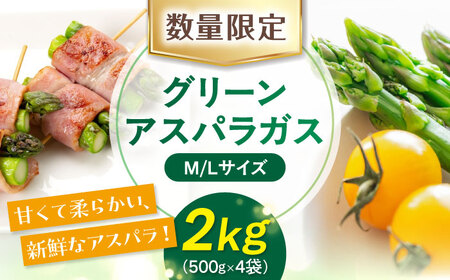 【5月中旬以降順次発送】【ニセコ町産】朝どりアスパラ M／L混サイズ2kg 《喜茂別町》【ニセコビュープラザ直売会協同組合】 アスパラ アスパラガス グリーンアスパラ 冷蔵 冷蔵配送 野菜 春野菜[AJAH018]