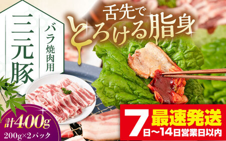cq o ēp 400g (200g×2P) ؓ o Jr XCX [AJAP134]