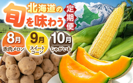 [全3回定期便] 旬の恵み定期便 野菜 定期便 野菜 定期便 野菜 定期便 [AJAK025]