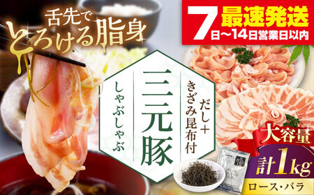 cq Ԃ Zbg 1kg  ([XEo )  Ezt Ԃ  Ⓚz [AJAP174]
