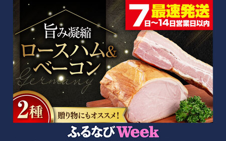 [ふるなびWEEK対象] ハム ベーコンセット 1kg ハム ハム ハム ハム ハム AJAI004-777
