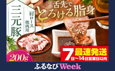 [ふるなびWEEK対象] 肩ロース 200g 焼肉 焼肉 焼肉 焼肉 焼肉 焼肉 AJAP131-777
