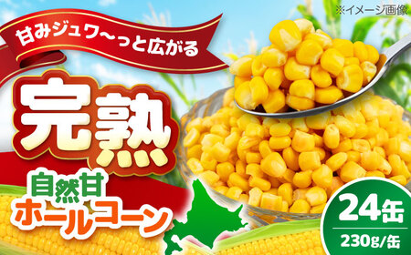 [ふるなびWEEK対象]自然甘 ホールコーン 24缶 缶詰 とうもろこし ふるなびWEEK FN-Limited [AJZY001-666]