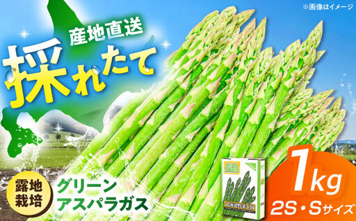 [5月中旬以降順次発送] グリーンアスパラガス 1kg(2S・S/露地)アスパラ [AJAM016]