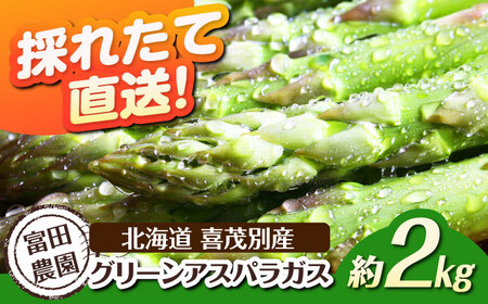 [2026年分予約開始!]喜茂別産 採れたて!グリーンアスパラガス 約2kg 野菜 冷蔵配送 産地直送 北海道 [AJAJ005]