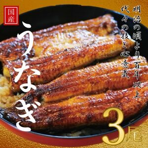 鰻の老舗 千葉県いすみ市藤井のうなぎ白焼き(3匹)_魚介・海産物 うなぎ ウナギ 鰻_[配送不可地域:離島・沖縄県]