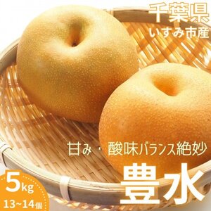 いすみ市産豊水梨　約5kg(13～14個)【1462343】