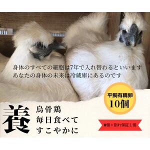 庭先養鶏いすみケンコーファームが烏骨鶏の有精卵10個を心を込めて大切なあなたへお届けいたします_卵・乳製品 卵  たまご タマゴ 玉子_【配送不可地域：離島】【1455517】