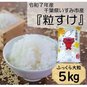 yߘa7NYāz@ӂ嗱@tݎsY@5kg_   _y1546628z