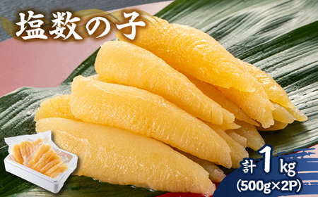 ̎q 1kg(500g×2P)yzsnFzy1607609z