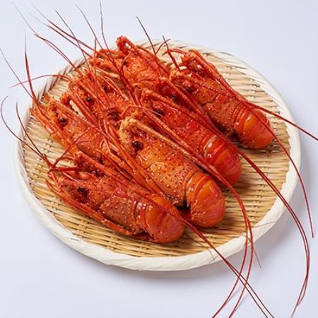 訳アリボイル伊勢海老1kg(約6-9尾入り)[配送不可地域:離島]