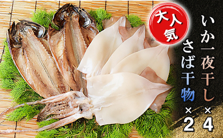海の直売所アルファ 大人気!いか一夜干し・さば干物セット_魚介・海産物 イカ いか 烏賊 魚介・海産物 干物 _[配送不可地域:離島]