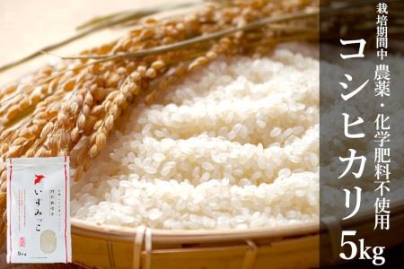農薬・化学肥料不使用こしひかり いすみっこ 白米5kg A647
