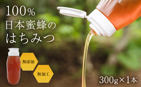 日本蜜蜂のはちみつ_調味料 はちみつ  ハチミツ 蜂蜜_【1234187】