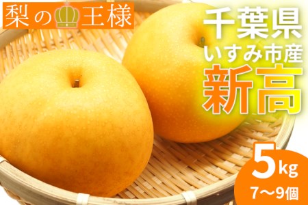 【数量限定】香りがよく上品な甘さ♪千葉県いすみ市の新高梨5kg A620